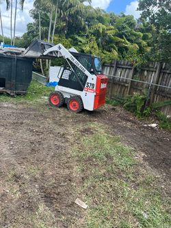 Bobcat mini