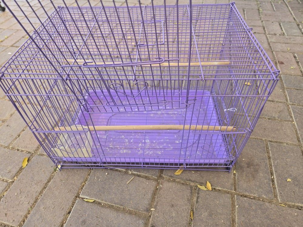 Bird Cage