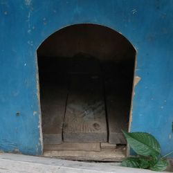 Small Dog House