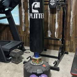 Punching Bag with Boxing Gloves