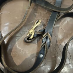 Dog Harnesses, Leashes,coats