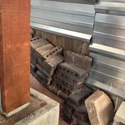 2. Dólares Cada Uno 