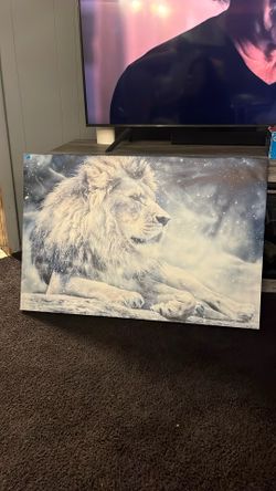 Lion Picture
