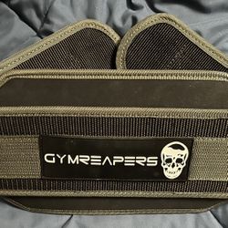 Gymreapers Dip Belt 