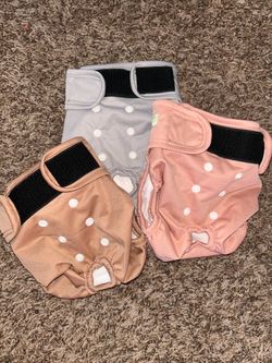 Doggy diapers