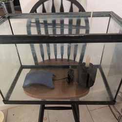 20 gallon tall aquarium
