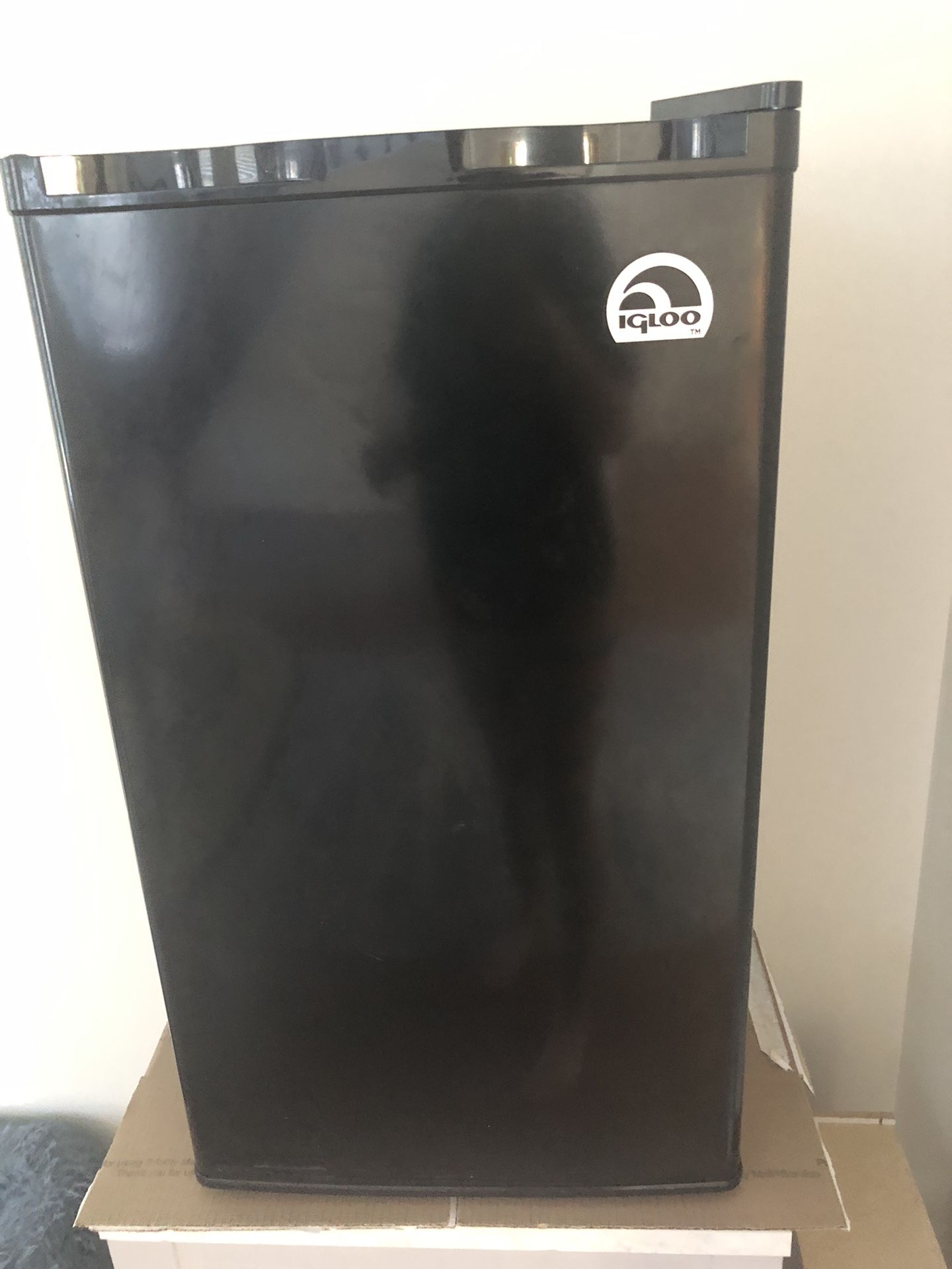 Igloo Mini Fridge 