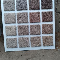 CARPET
