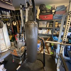 Everlast Punching Bag and Stand 