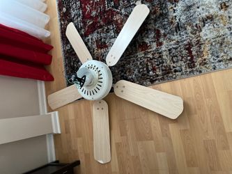 Ceiling fan