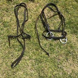 English bridle 