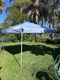 BRAND NEW 10x10 Canopy Tent + Weight Bags - $85 FIRM