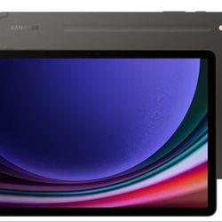 Samsung Galaxy Tab S9 256GB