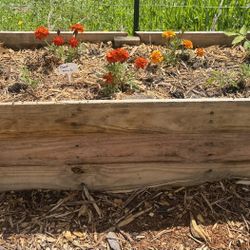 4ftx21in Raised Garden bed 