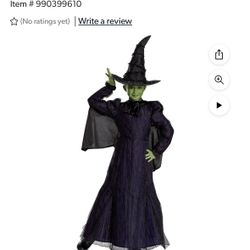 NEW Elphaba costume 10/12