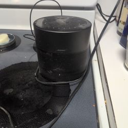 Bose Home speaker 300