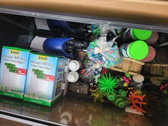 Fish Tank