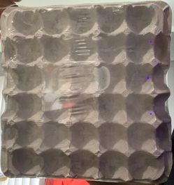 Egg Tray Storage