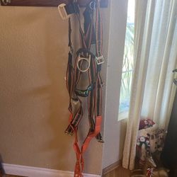 Safety Harness