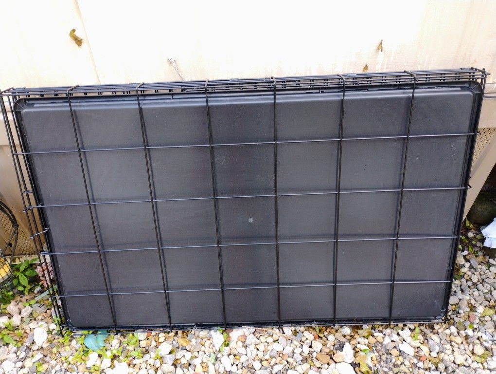 Dog Crate