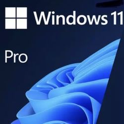 Windows 10/11 Pro Key Digital Activation Code 
