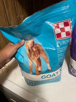 Lamb/goat powder milk