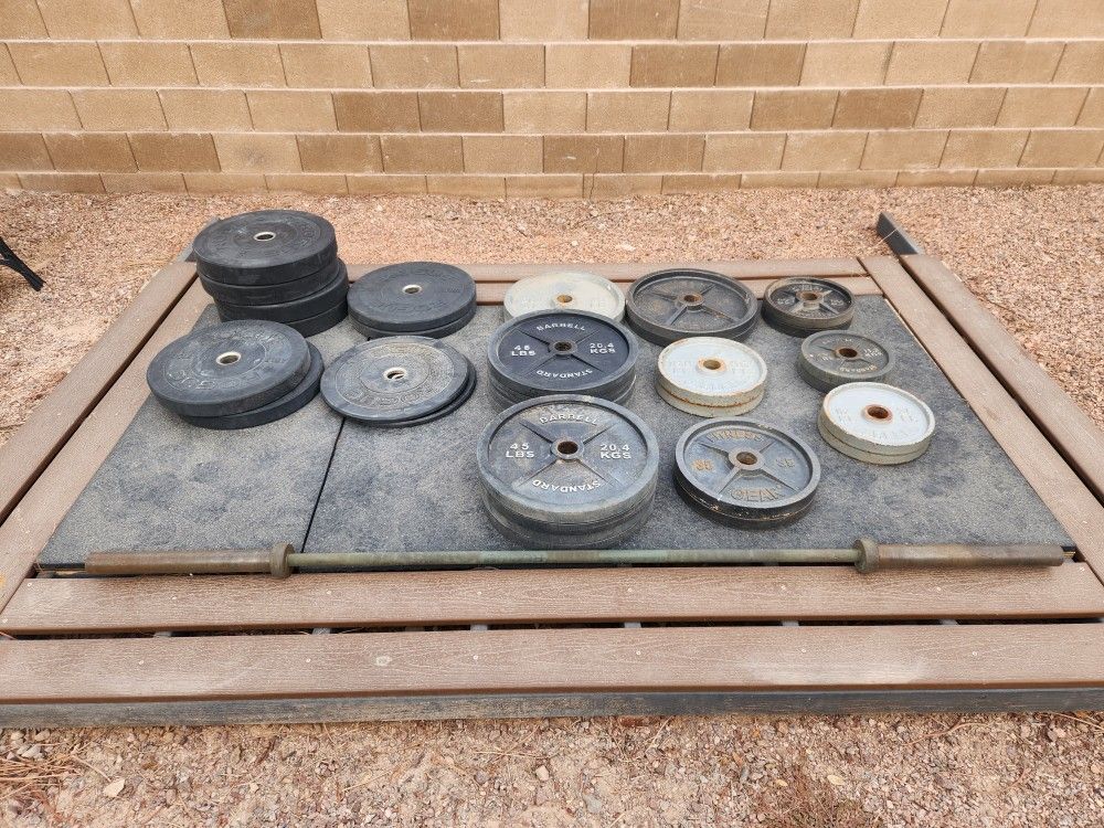 Workout Equipment (Plates, Bars, Racks)
