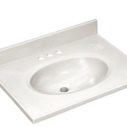 25-in x 19-in Single Bathroom Sink