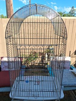 Bird cage