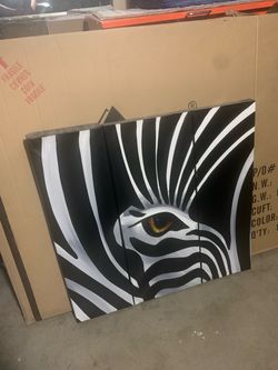 Cuadro de pared , ojo de zebra,,