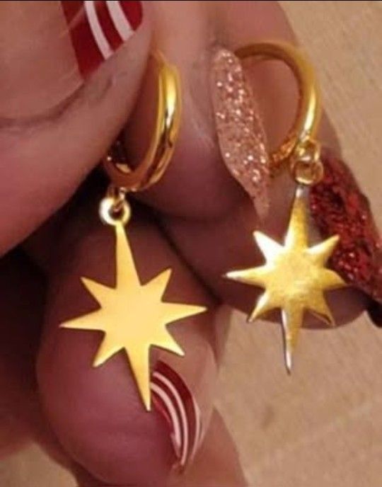 Brand new staniless steel earrings