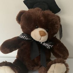 Graduation Bear (Fiesta)
