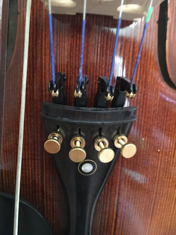 Violin full size