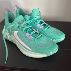 Basketball Shoes Giannis Antetokumpo 