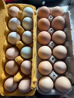 Cartons with Eggs