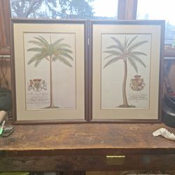 G.D Ehret. Delin & Sculp Print