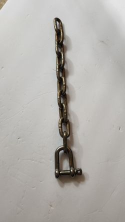 1 Foot Stainless Steel Chain with Shackle