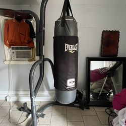 Everlast Punching Bag 