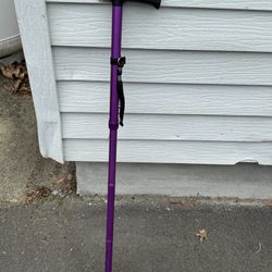 Purple Cane With Spring