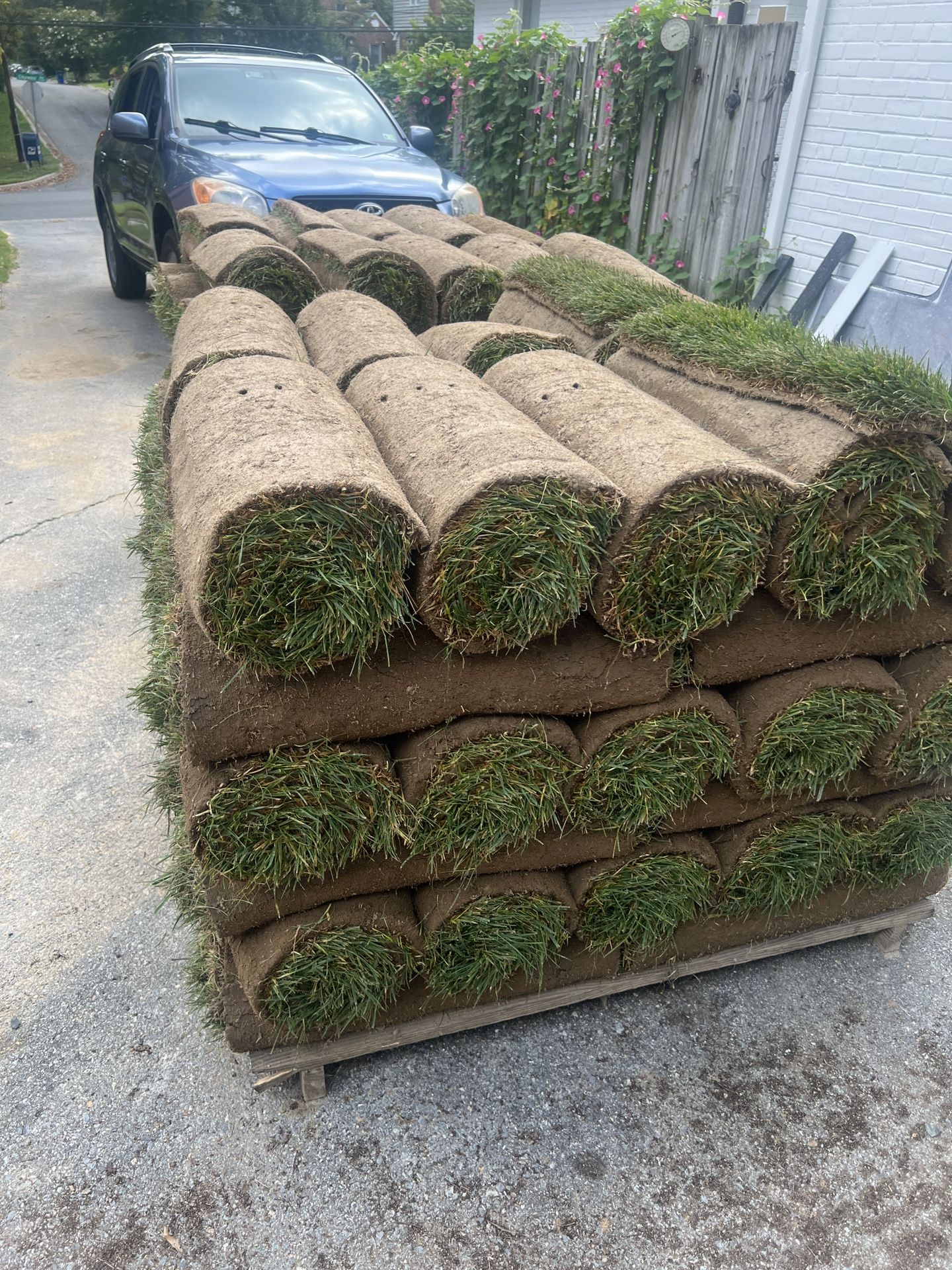 Fresh Sod Cut Every Morning