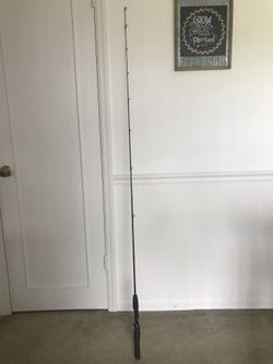 Team Daiwa TD-601-4RB 6' casting Rod. Larry Nixon