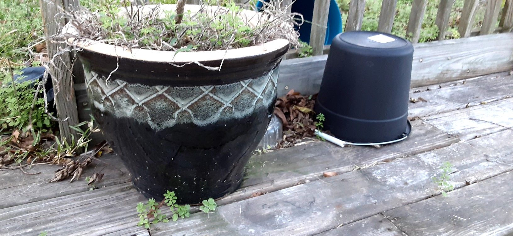 Flower Pots