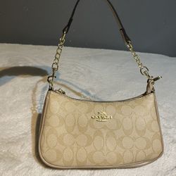 Light Brown Coach Bag 