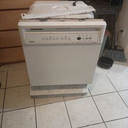 Kenmore Dishwasher (Bad Plug)