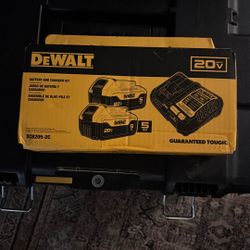 2 Pack 20 V 5 Hour Batteries