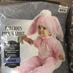 Infant precious pink rabbit costume.