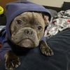 Oscar