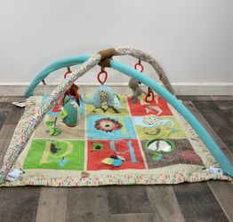 Skip Hop Alphabet Zoo Baby Activity Gym & Playmat