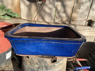 Blue Bonsai Pot Over A Foot Wide 4 Inch Deep $40 Each