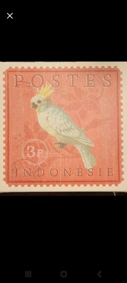 Canvas bird print
